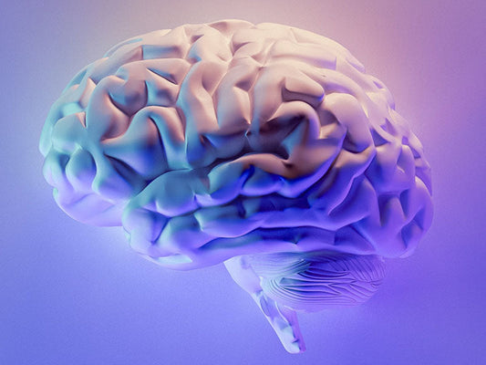 Discover How Nutrients in Beef Liver Support Brain Health
