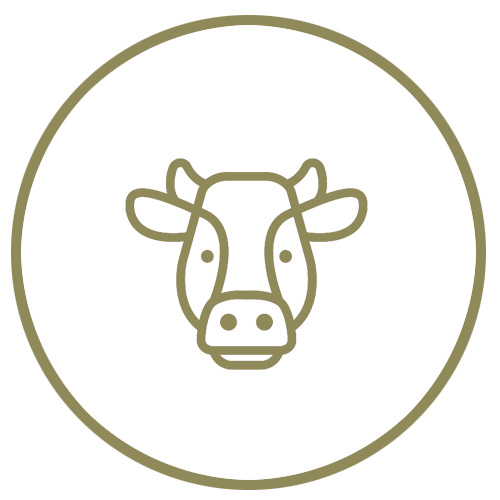 Icon of a cow's head within a circular outline on a white background depicting certified humane beef organs