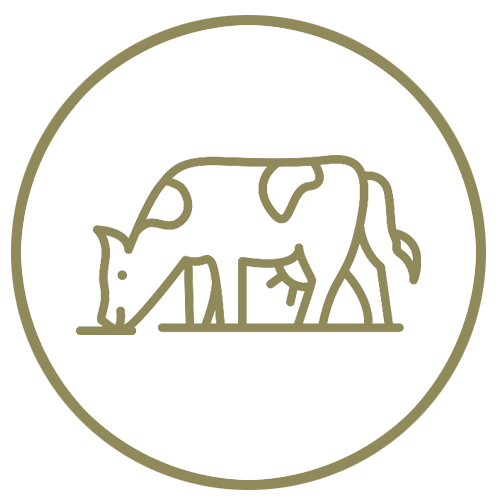 Icon of a grass fed and grass finished cow in a circle on a white background