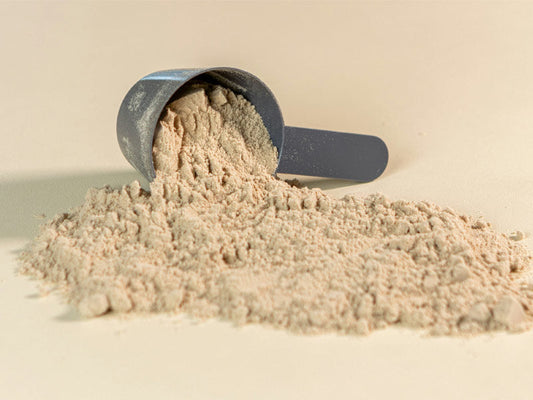 Ancestral Nutrition Protein Powder