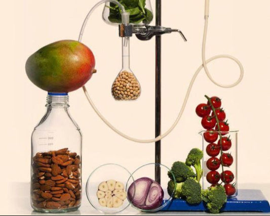 Nutrient Synergy Experiment