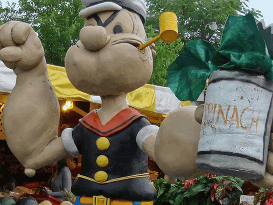 Is Iron From Plants or Meat Better?