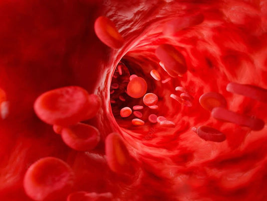 Could Nutrient-Dense Organs Be the Missing Link in Supporting Your Energy?