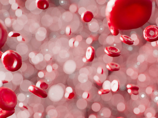 red blood cells healthy iron support