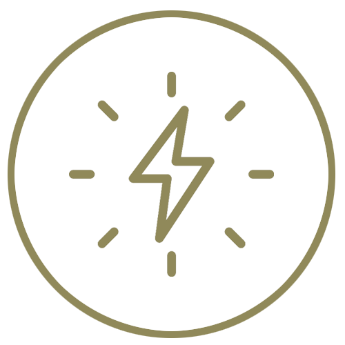 Ancestral Nutrition Fight Fatigue Beef Organs