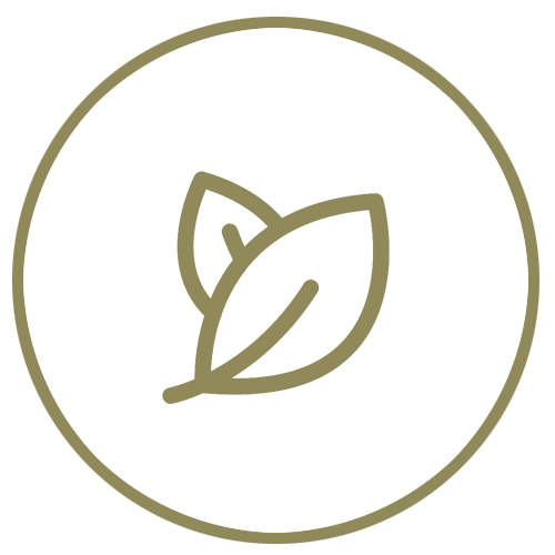 Icon of a leaf within a circle on a white background