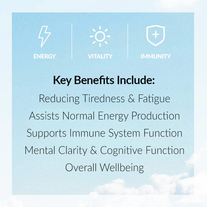 Primal Iron - Grass Fed Beef Spleen