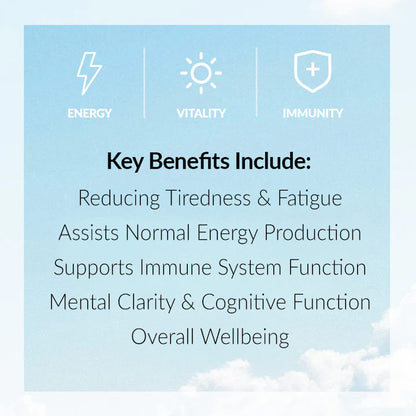 Primal Iron - Grass Fed Beef Spleen