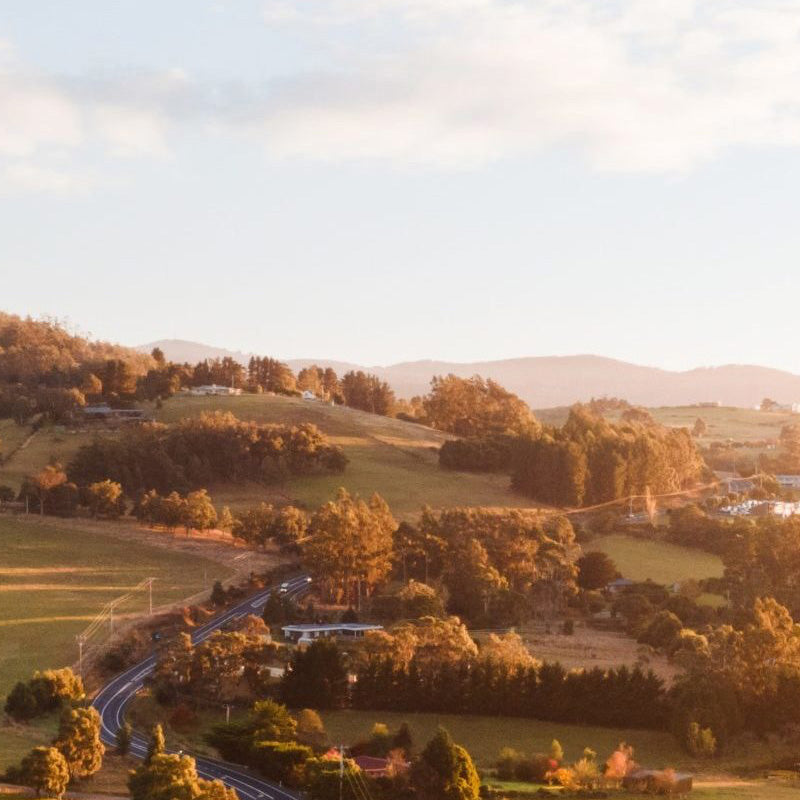 image showing rolling hills of Tasmania for Australia made beef organ supplements from Ancestral Nutrition